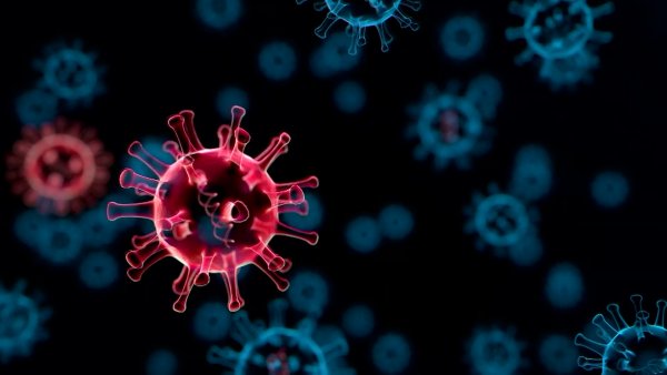 images Monkeypox Dallas County https www nbcdfw com news health rare monkeypox infection in dallas not a reason for alarm health officials say 2683331