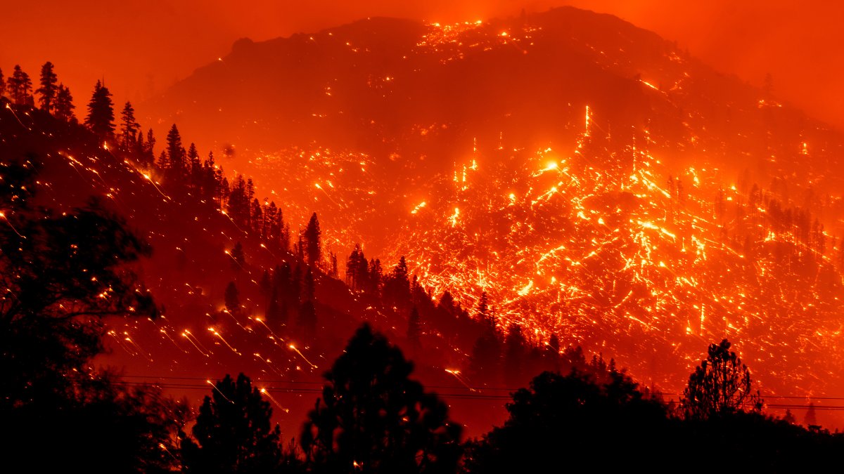 Calif. Wildfires Are Setting Records, and More Damage Is Expected – NBC 5 Dallas-Fort Worth - Vimarsana News