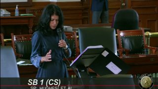 Democrat Carol Alvarado began her filibuster shortly before 6 p.m. Wednesday by speaking indefinitely, although she admitted that was unlikely to stop the elections bill from passing.