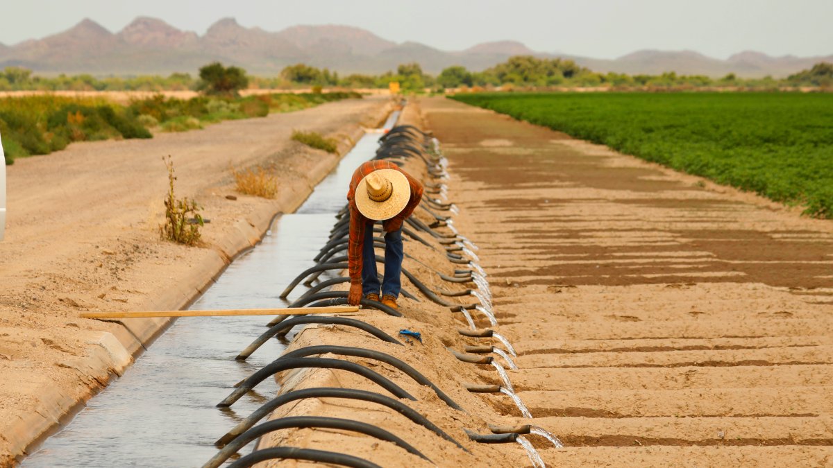First Required Water Supply Cuts in US West to Hit Ariz. Farmers – NBC 5 Dallas-Fort Worth - Vimarsana News