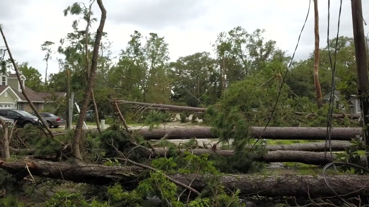 Cleanup Begins After Hurricane Ida Hits Hammond, Louisiana – NBC 5 ...