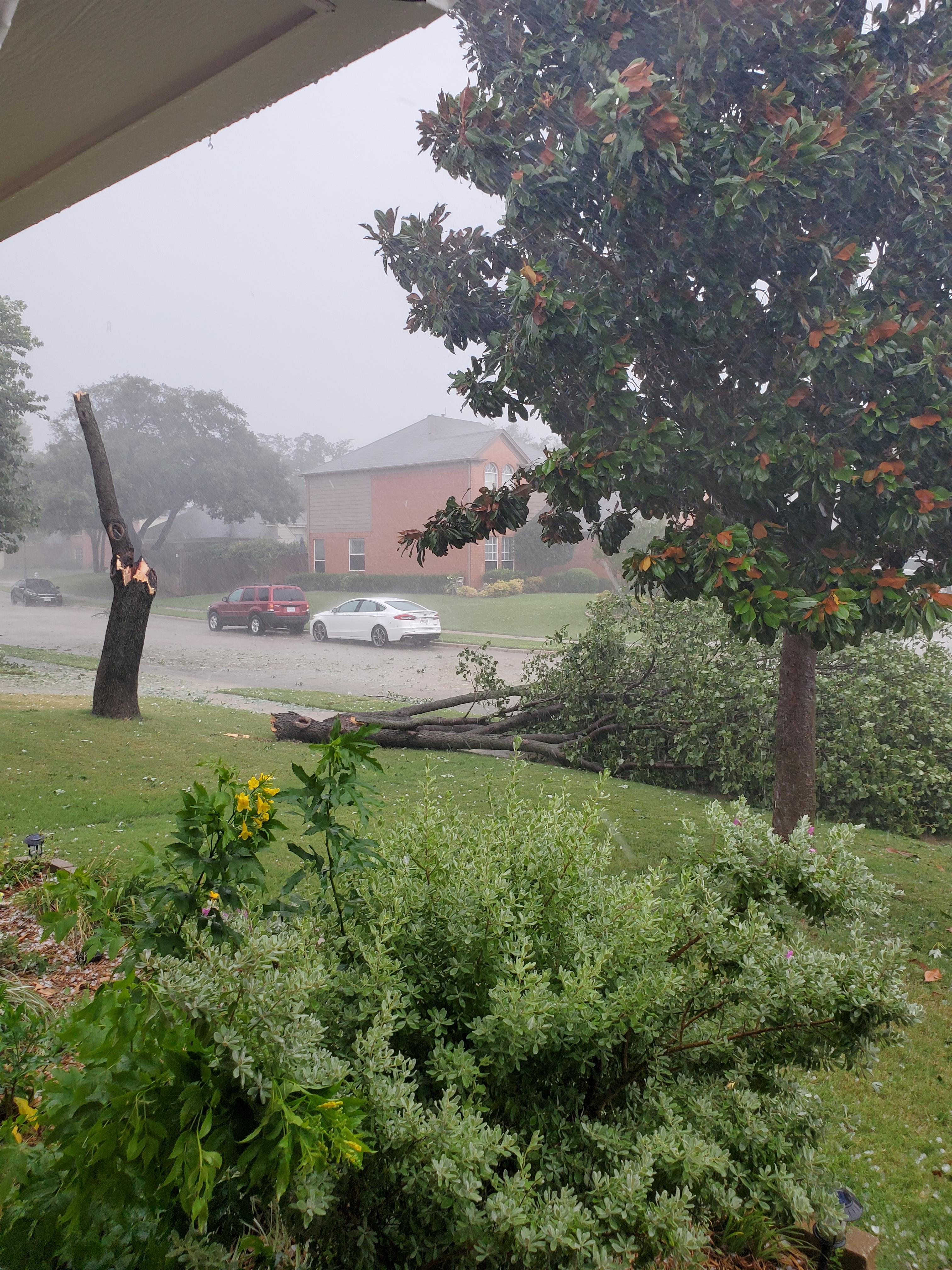 Your Storm Photos – August 1, 2021 – NBC 5 Dallas-Fort Worth