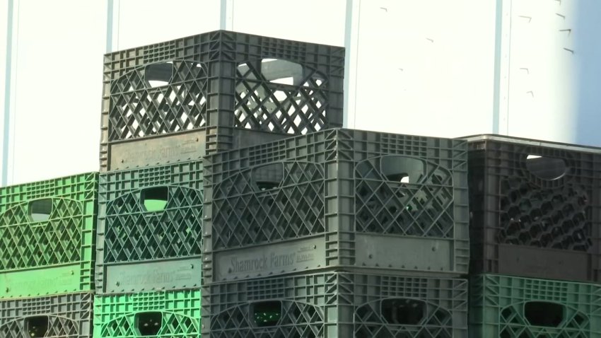 Cellphone Video Shows Danger of Milk Crate Challenge