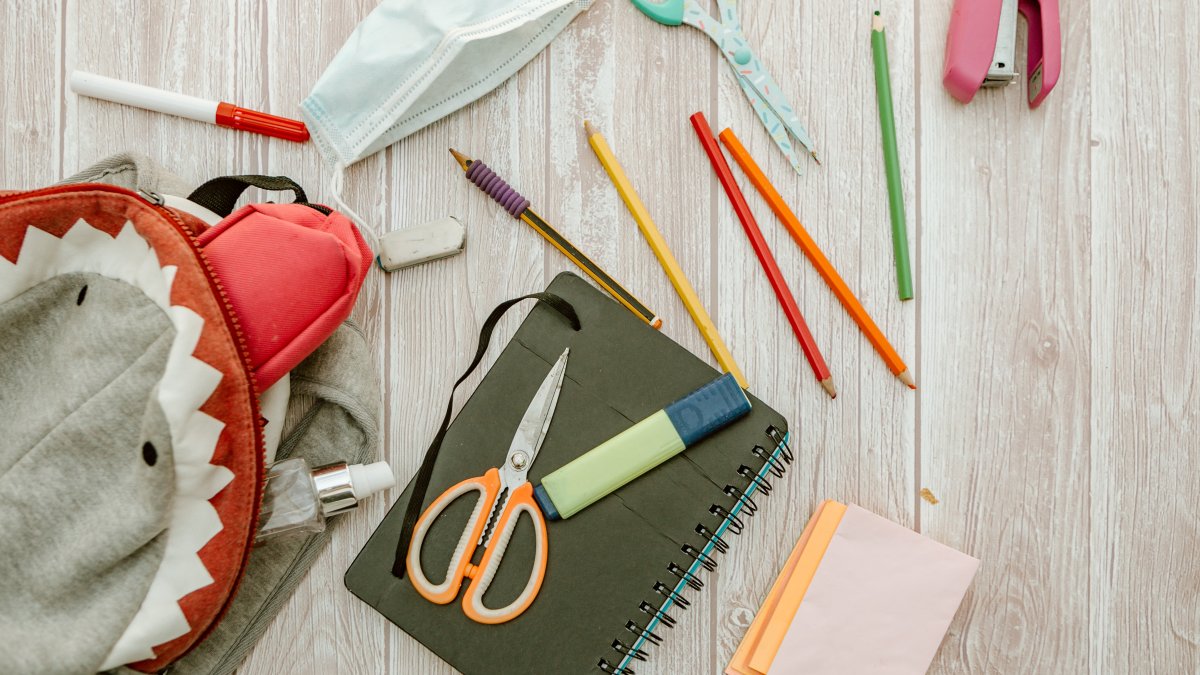 UT Southwestern, Dallas ISD to Open Medical District PK-8 Biomedical School - Vimarsana News