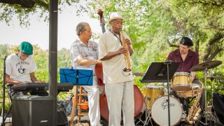 Herbie Johnson- Fair Park Blues and Jazz Festival