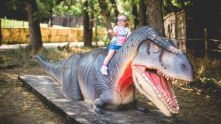 Child on Dinosaur at the Heard Museum Dinosaur Live!