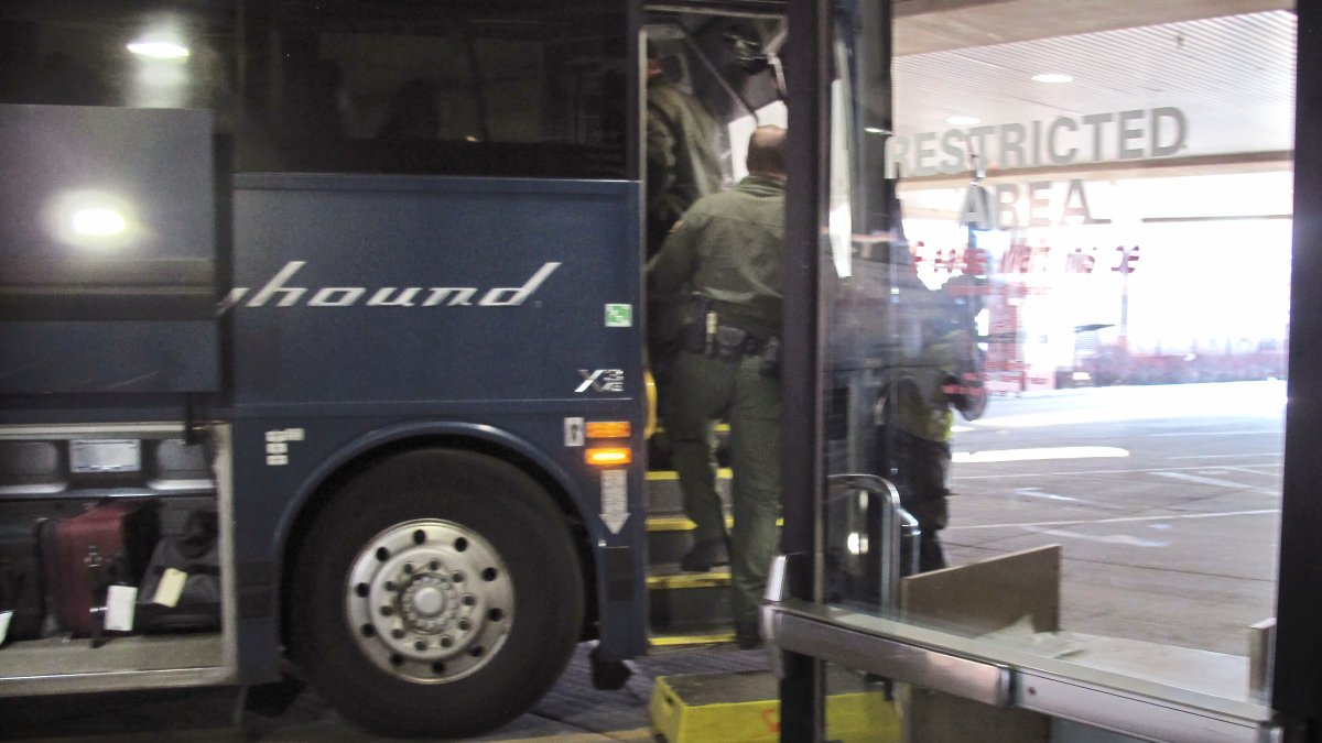 Greyhound Settles Lawsuit Over Immigration Sweeps on Buses - Vimarsana News