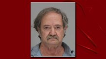 Henry Fahrlander, 64, faces two charges after police say he drove into a marked squad car Saturday night.