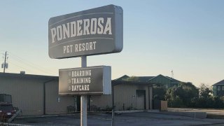 ponderosa pet resort