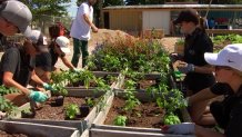 Gardeners work at South Dallas' Restorative Farms, Sept. 15, 2021.