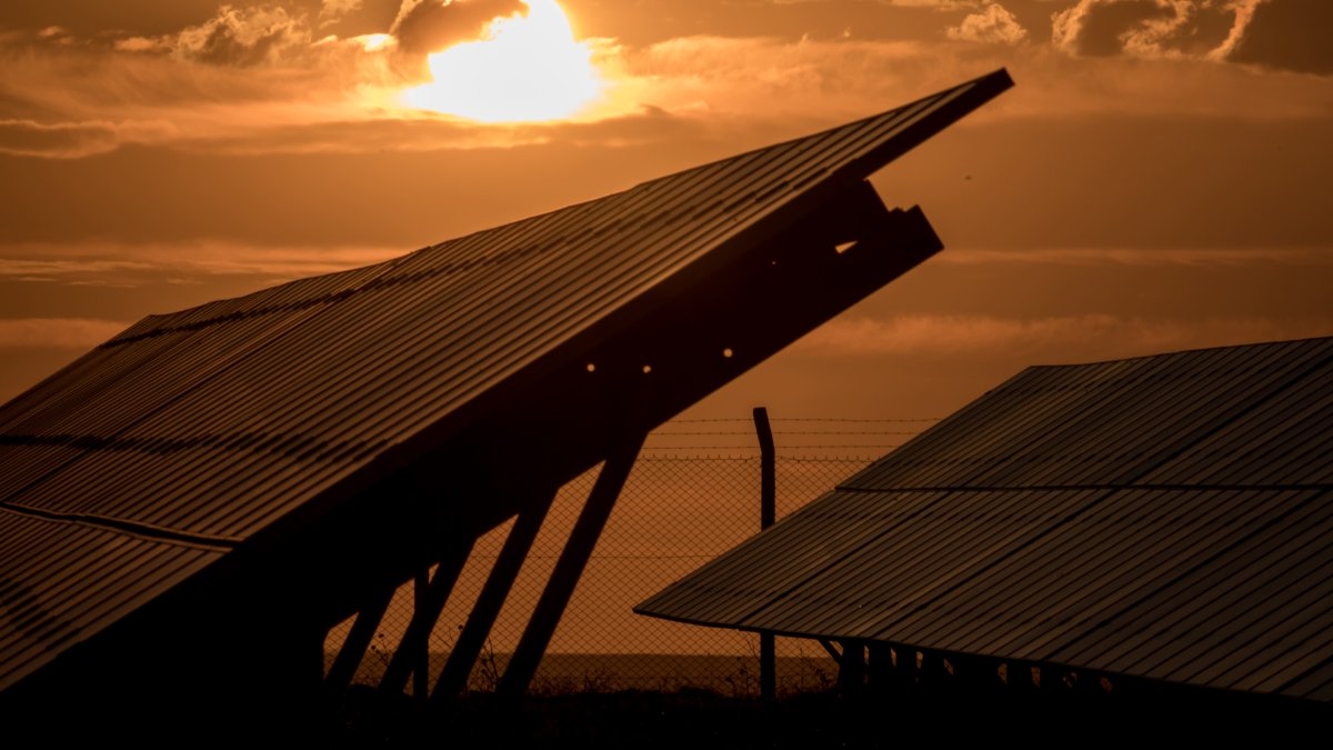 Google Search Rival Ecosia Launches $405 Million VC Fund to Back Climate Tech Start-Ups - Vimarsana News