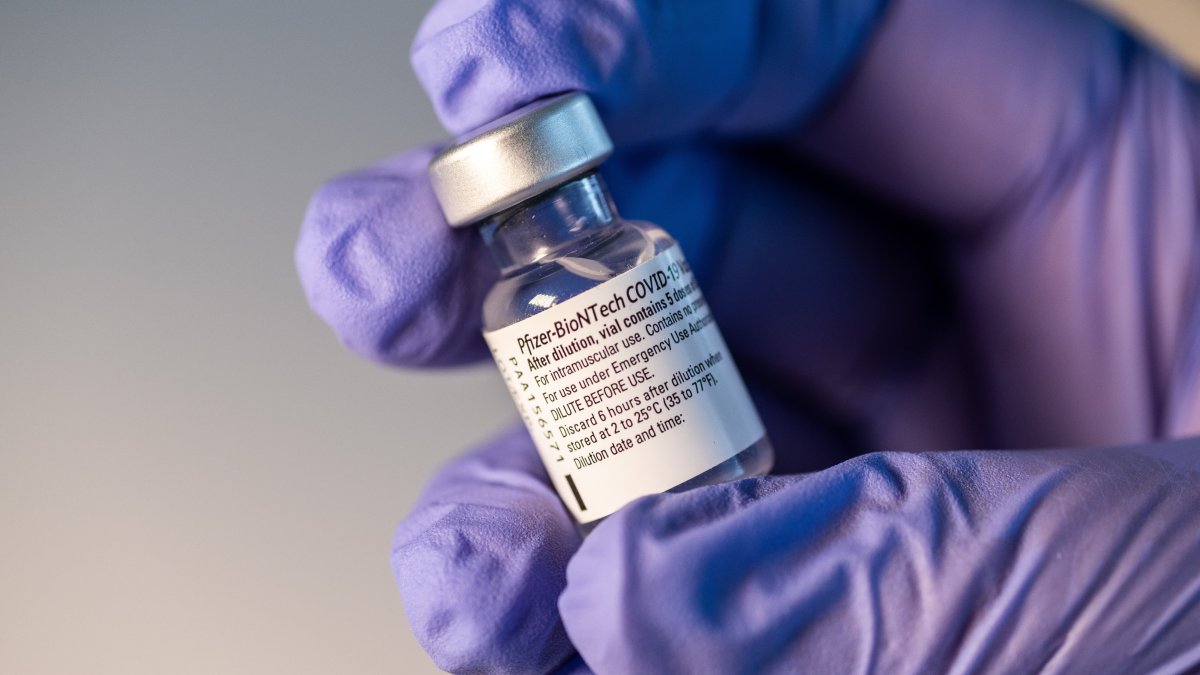Vaccine Makers Move Quickly Against New Omicron Covid Variant, Testing Already Under Way - Vimarsana News