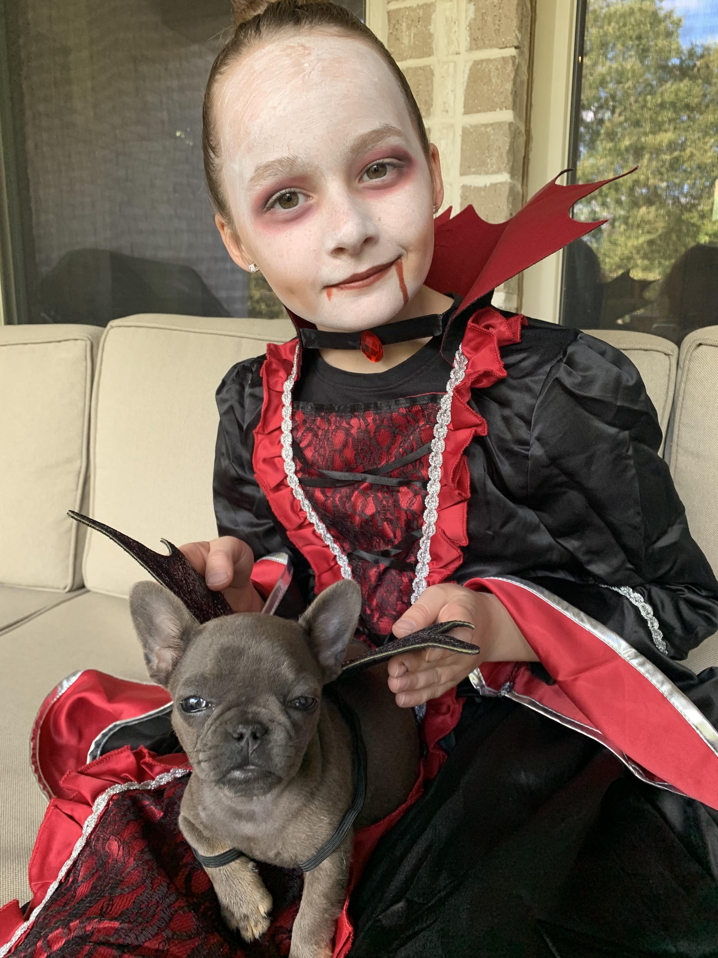 Wanted to share Katie the vampire and her tiny vampire bat Rosie. We just adopted Rosie about a week ago. She is a whopping 3 pounds of determination. Born at old 3 oz she’s a fighter. We love her to pieces!   Big sister Cookie Crumbs adoption story was also once featured on NBC DFW too.