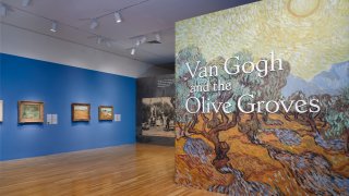 Dallas Museum of Art Van Gogh and the Olive Groves