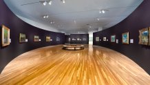 Dallas Museum of Art Van Gogh and the Olive Groves circular gallery