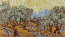 Vincent van Gogh Olive Trees Van Gogh and the Olive Groves