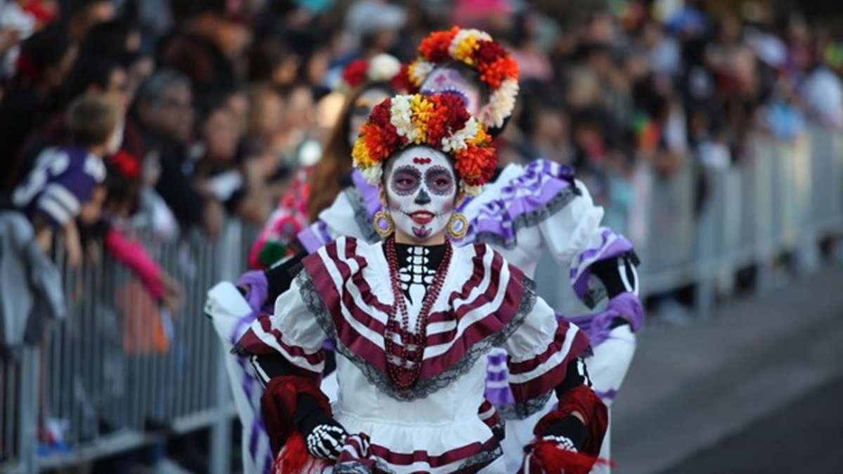 Preparations and Precautions Share Attention at Dallas Dia de los ...