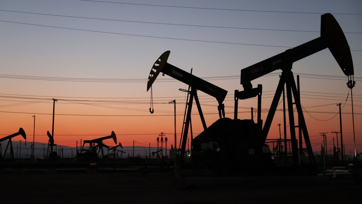 What Is the US Strategic Petroleum Reserve Biden Is Tapping Into? – NBC 5 Dallas-Fort Worth - Vimarsana News