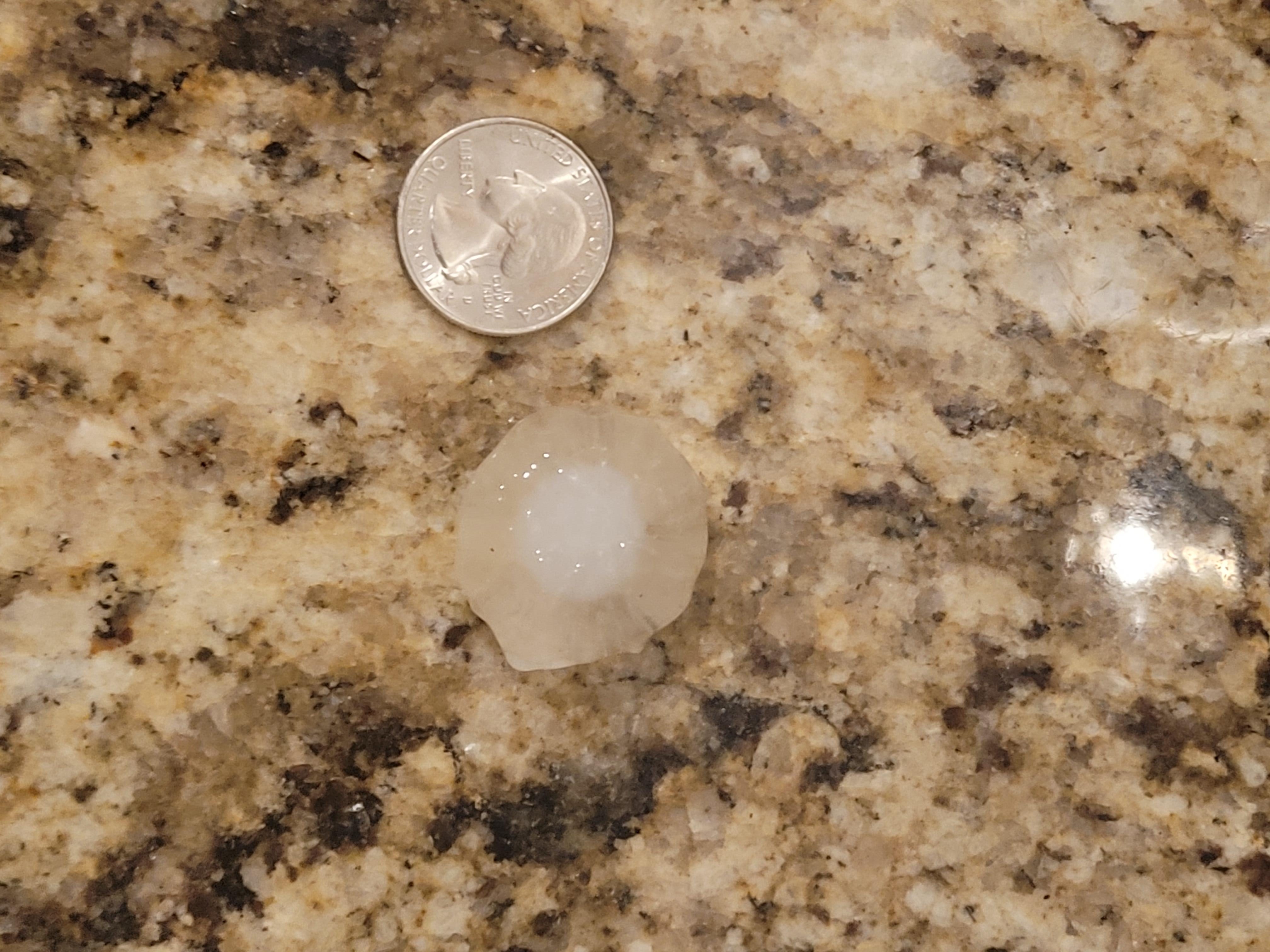Here is some pics of the hail that fell in Grapevine. Mostly small marble size but a few larger stones fell.