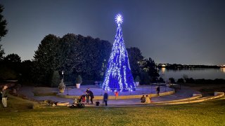 Dallas Arboretum Dazzling Musical Tree