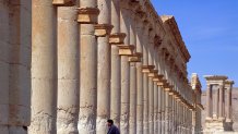 Carolyn Brown Palmyra Colonnade Bike Rider