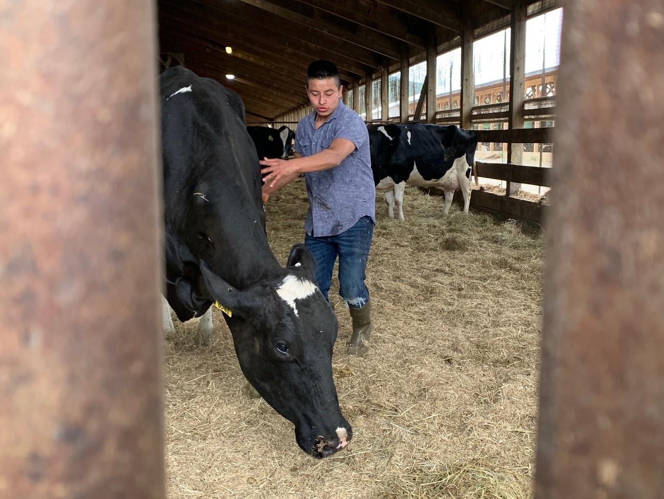 Christian, a transgender man who is seeking political asylum in the United States, at the farm in northern New England where he works.