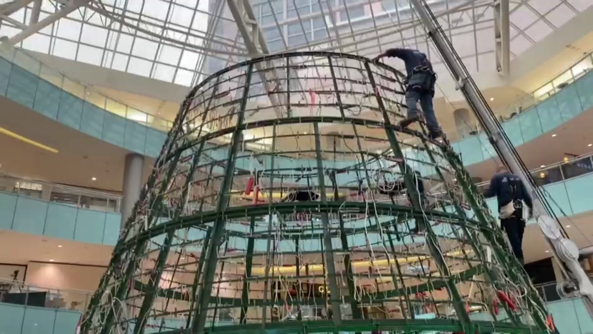 Tallest Indoor Christmas Tree in America Returns to Galleria