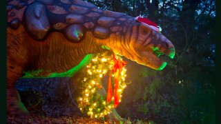 Dinosaur in Lights - Holidays at the Heard