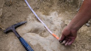 In this October 2020 photo provided by Alberto Labrador, a researcher measures a 120 million year-old fossilized dinosaur footprint the in the La Rioja region in northern Spain, while doing research about dinosaur running speeds. Scientists discovered one of the quickest sets of theropod tracks in the world through this research.