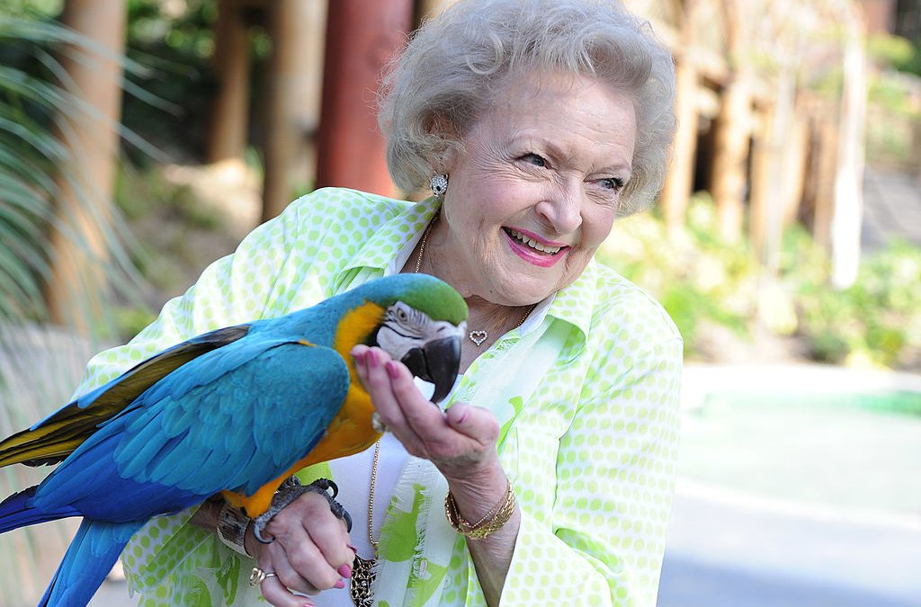 Betty White Wasn't Just America's Sweetheart. She Stood Up for Animals of All Kinds - Vimarsana News