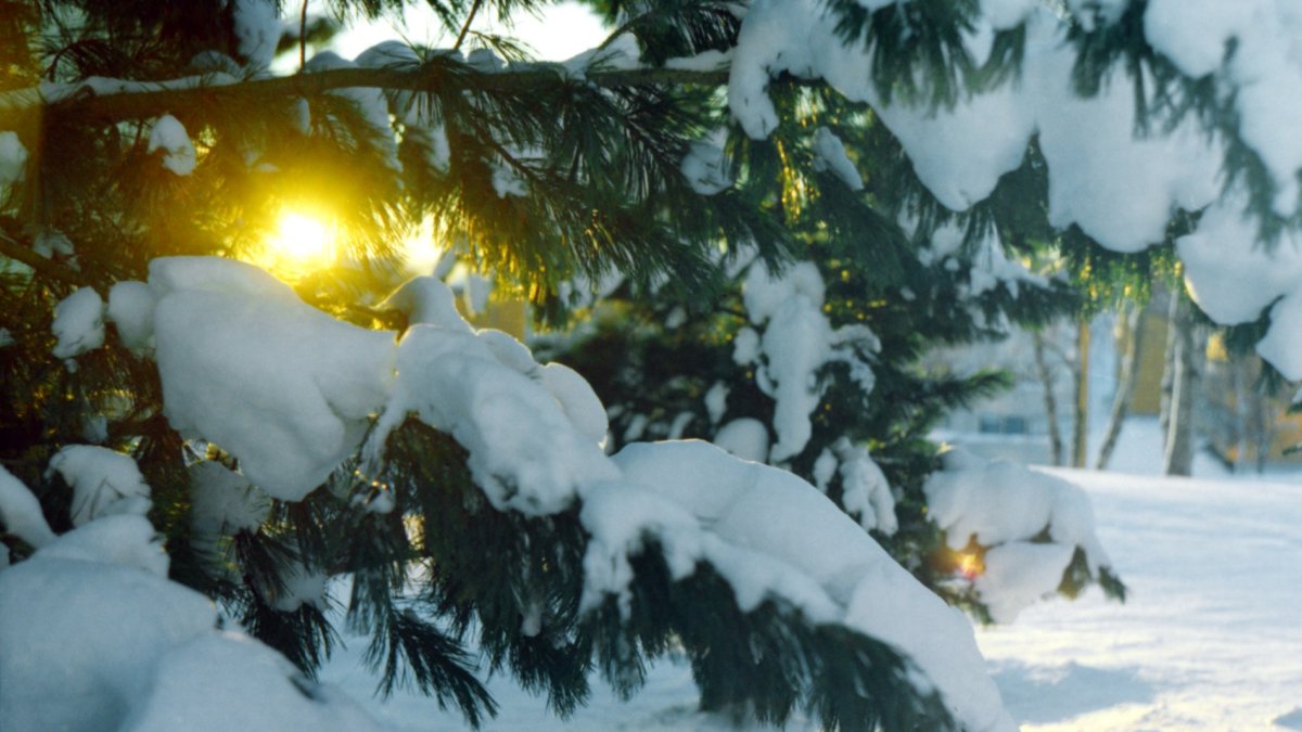When is the First Day of Winter and What is the Winter Solstice?