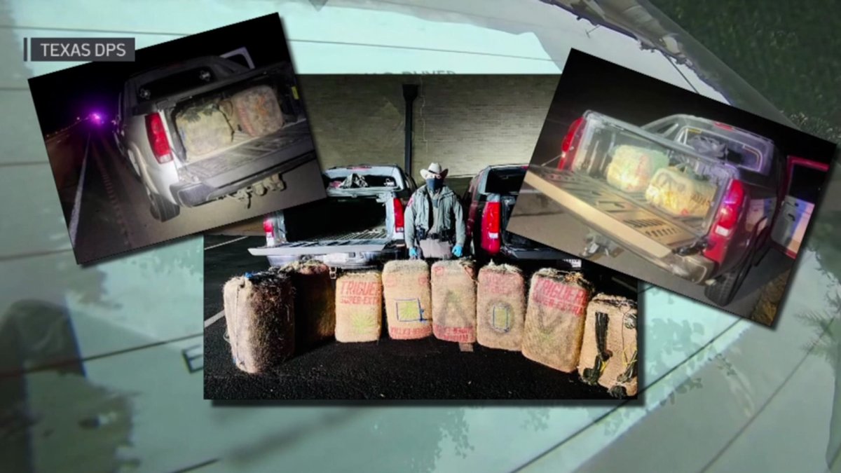 Texas House Transportation Chair Vows to Stop Paper Tag Fraud NBC 5