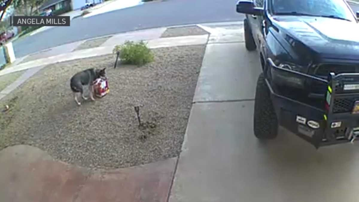 Porch pirates steal package with dog's ashes