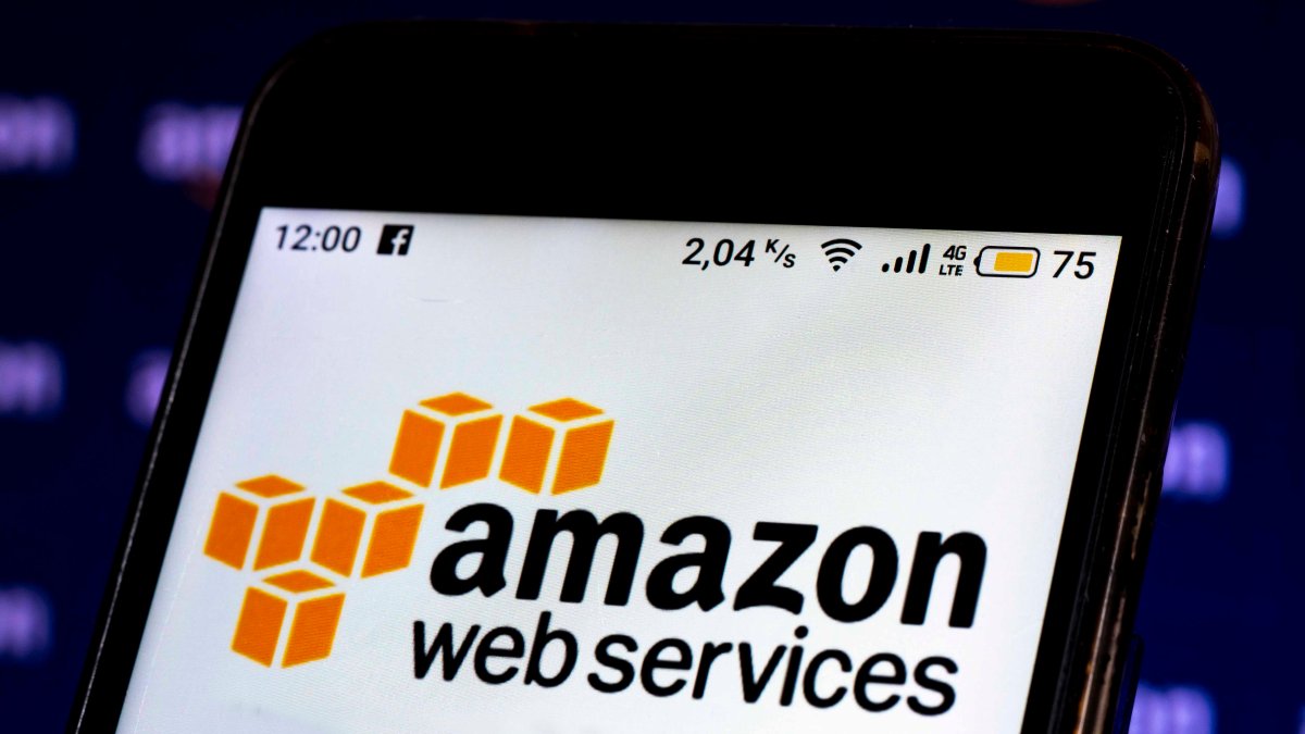 What Caused Amazon's Outage? Will There Be More? - Vimarsana News