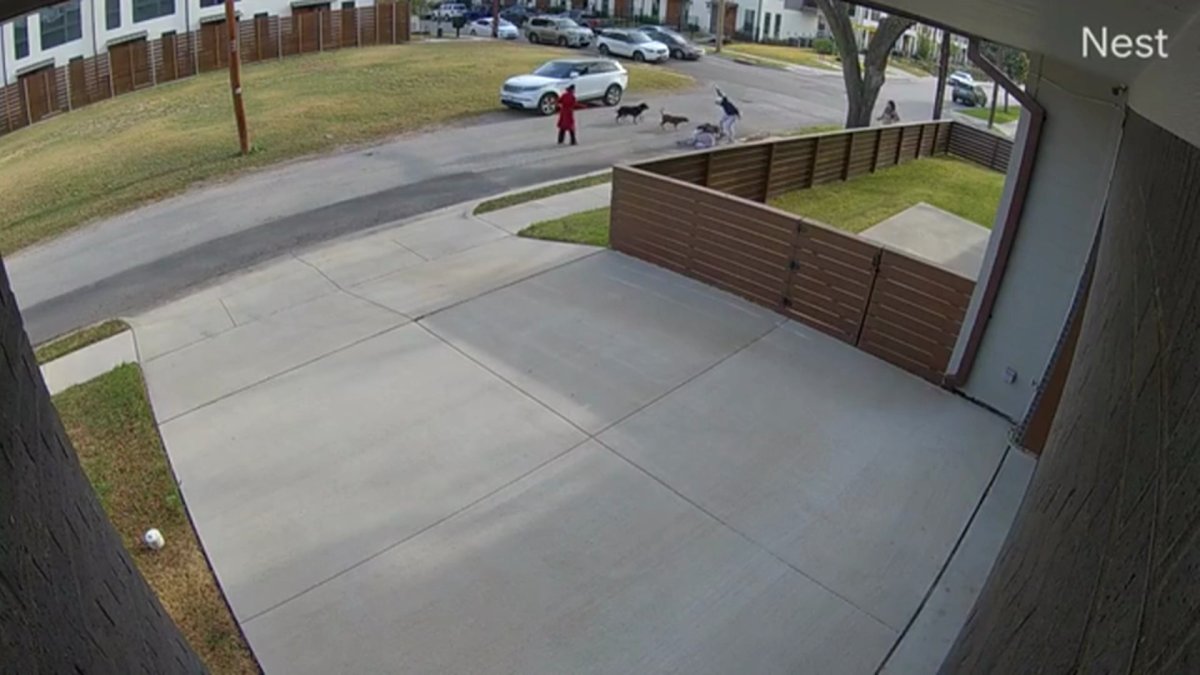 Victim Pleas for Help After a Dog Attack in Uptown Dallas - Vimarsana News