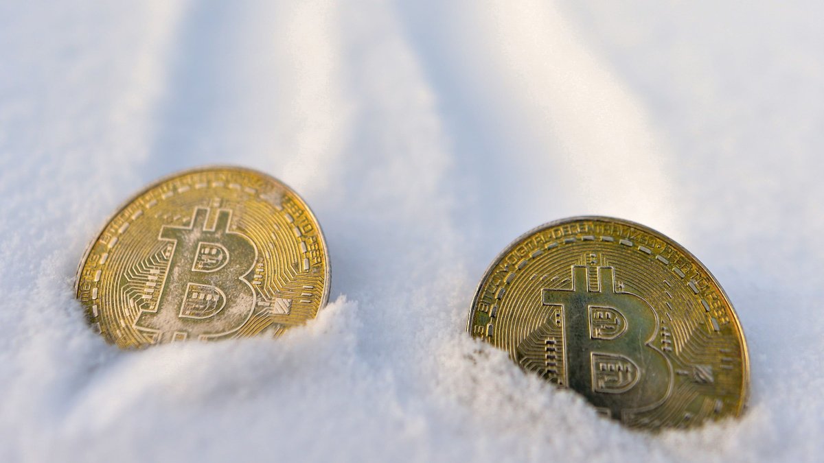 Investors Fear 'Crypto Winter' Is Coming as Bitcoin Falls 50% From Record Highs – NBC 5 Dallas-Fort Worth - Vimarsana News