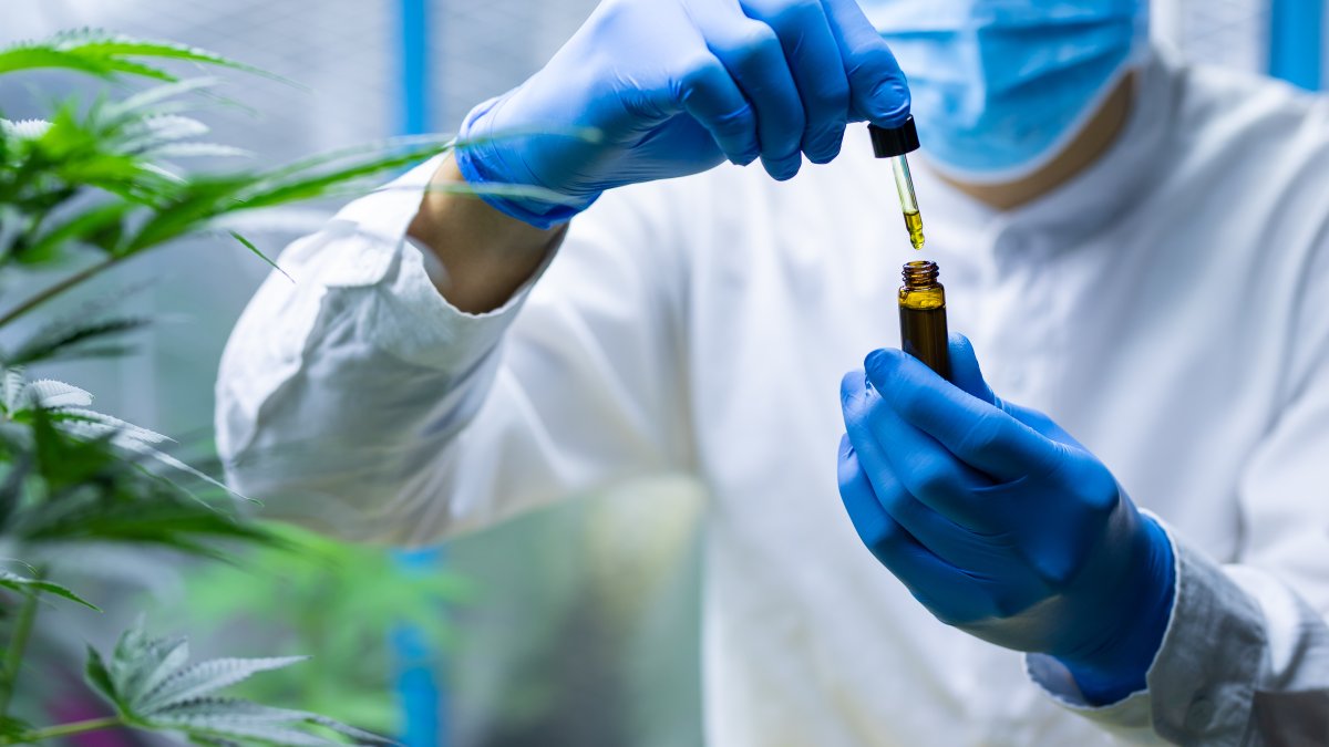 COVID-19 & Cannabis: Study Finds Hemp Compounds Prevent Coronavirus Infection – NBC 5 Dallas-Fort Worth - Vimarsana News