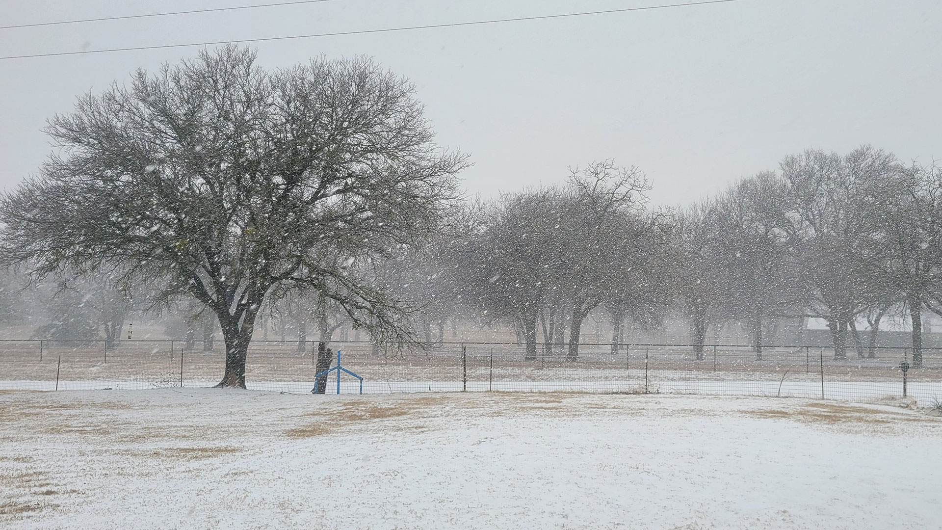 Your Photos: Freezing Rain and Sleet in North Texas – NBC 5 Dallas-Fort ...