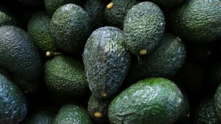 Recently harvested avocados at an orchard near Ziracuaretiro, Michoacan