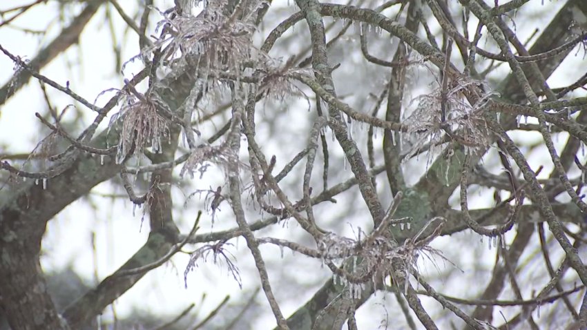 North Texans Experience ‘Exploding Trees' During Winter Storm