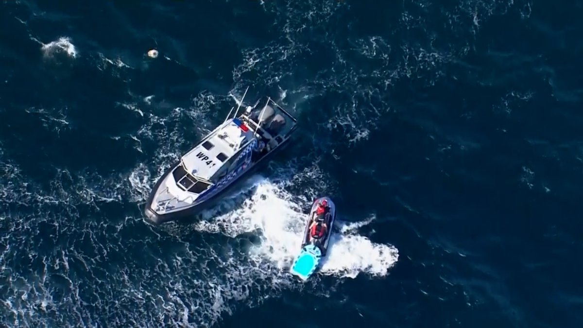 swimmer-found-dead-after-shark-attack-in-sydney-nbc-5-dallas-fort-worth