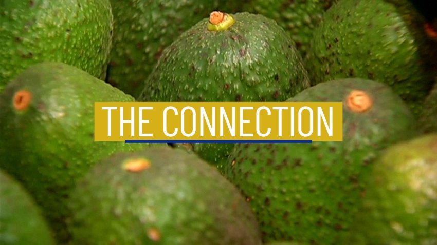 Bracing for Avocado Shortages: The Connection