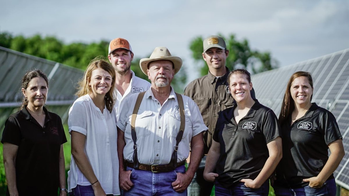 These Cattle Ranchers Are Raising Better Beef, Spending Less — and Reducing Carbon Emissions - Vimarsana News