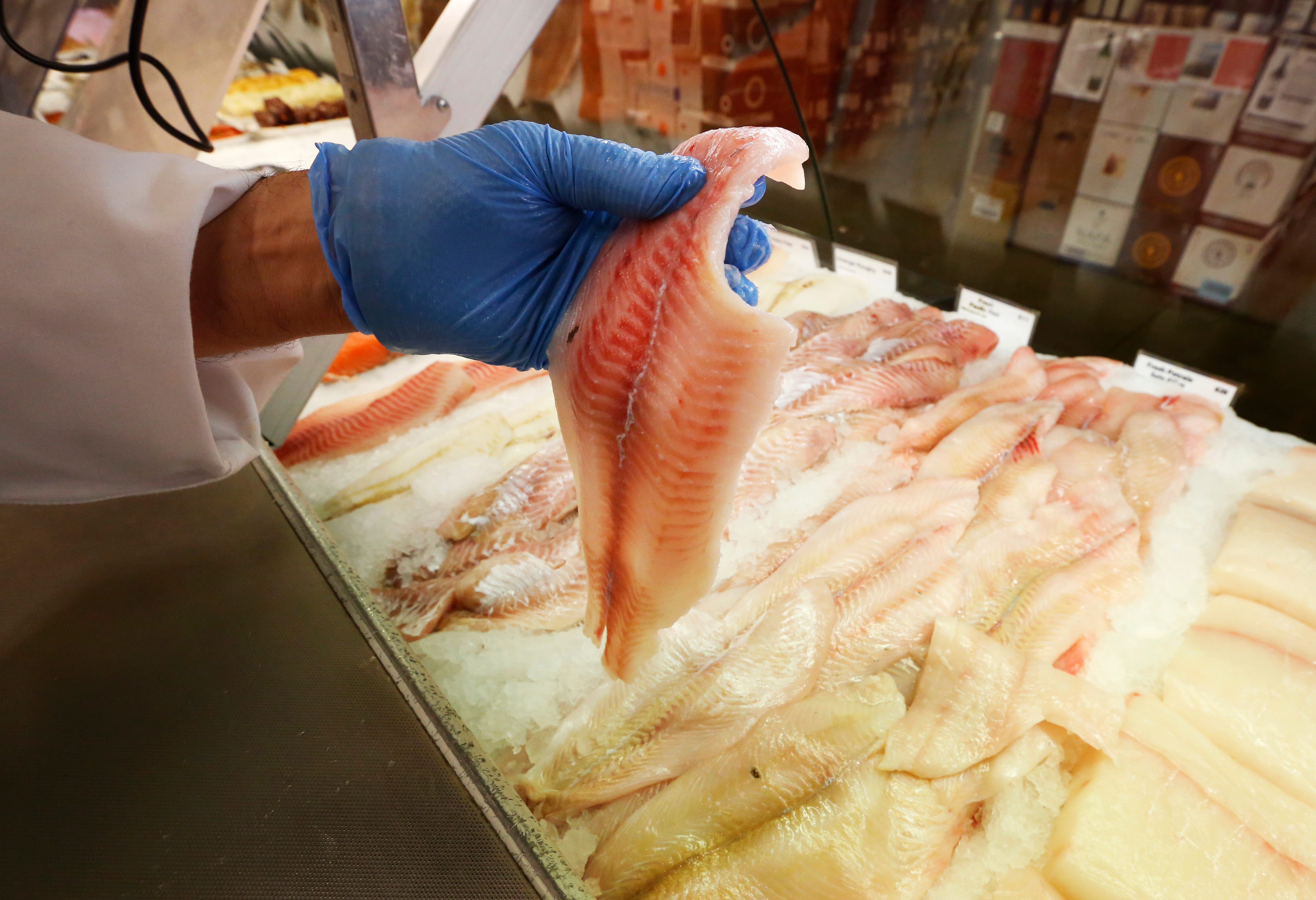Seafood Industry Braces Losses Jobs