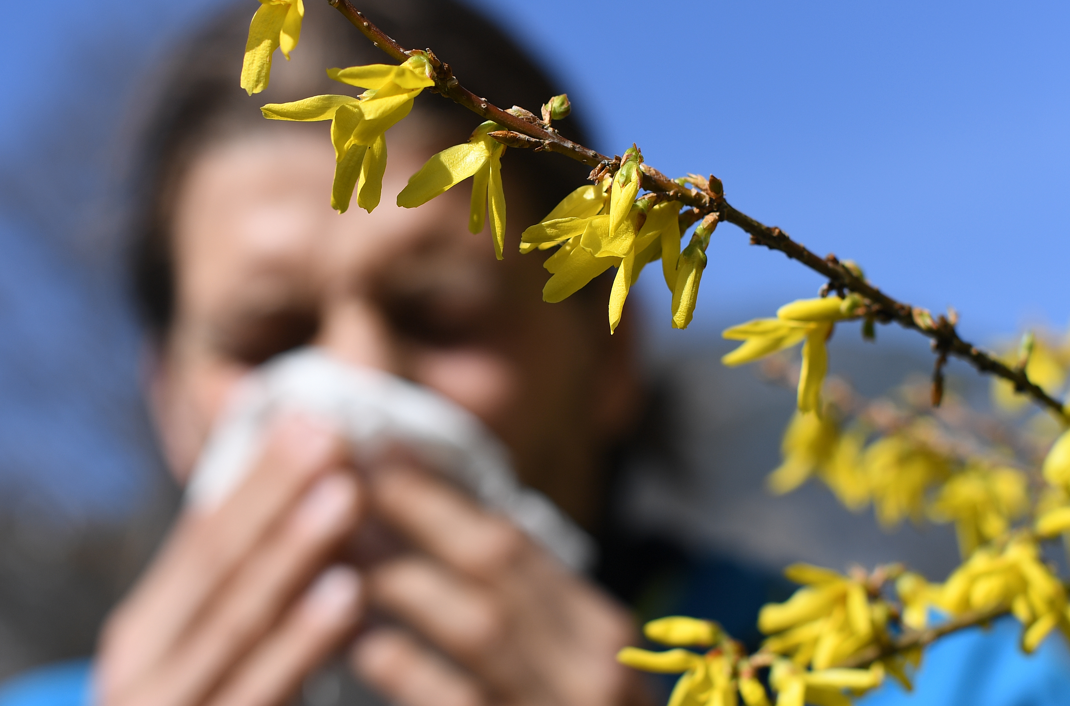 Pollen Levels Stay High Through the Weekend; Here’s What’s in the Air