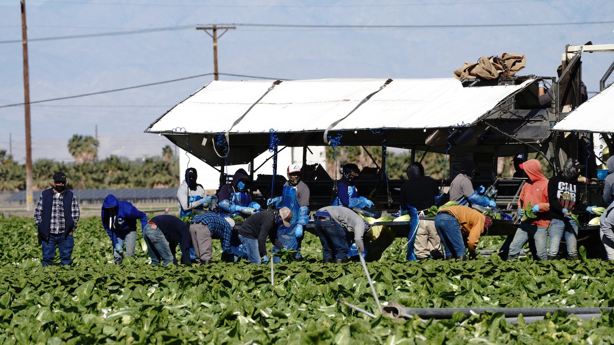 Migrants on Guest-Worker Visas Face Wage Theft, Abuse - Vimarsana News