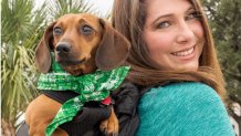 Dogs at North Texas Irish Festival