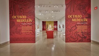 Octavio Medellin Dallas Museum of Art Exhibition entry