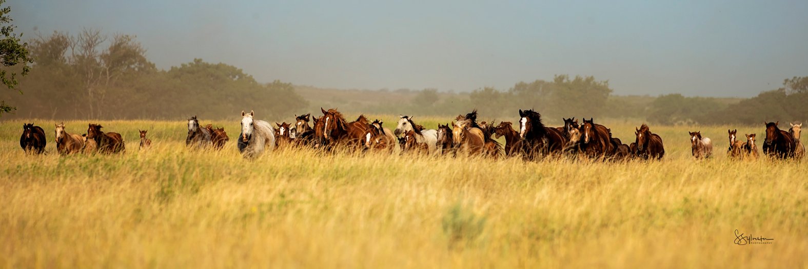 Photos: Historic West Texas 6666 Ranch Has a New Owner – NBC 5 Dallas ...