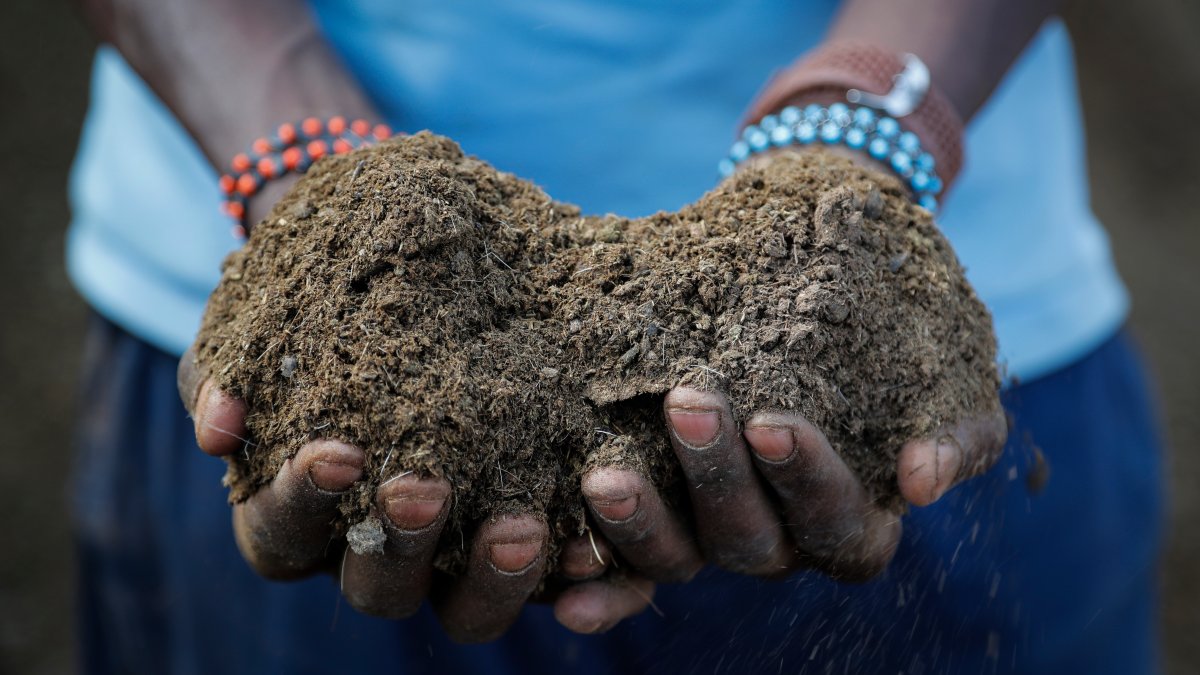 Russian War Worsens Fertilizer Crunch, Risking Food Supplies – NBC 5 Dallas-Fort Worth - Vimarsana News